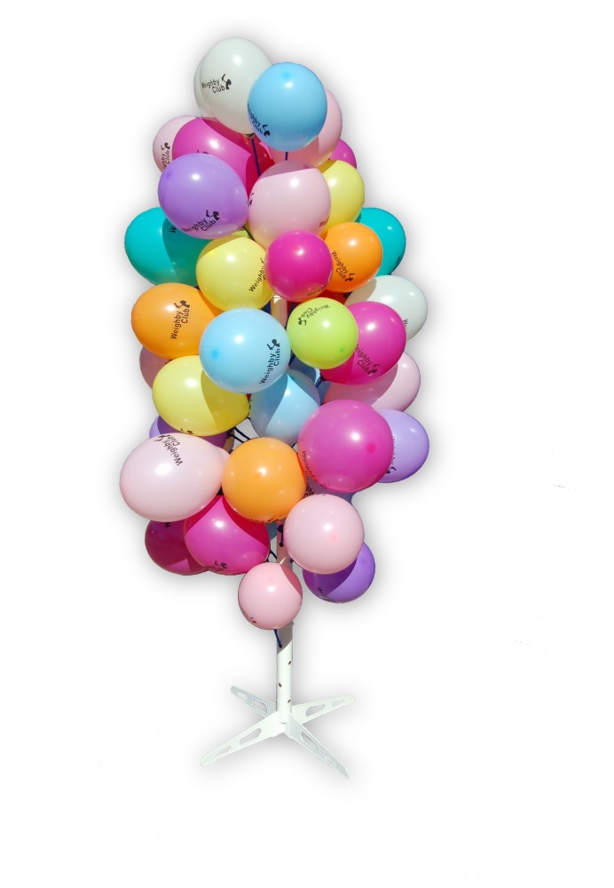 Plastic Balloon Stand Balloons Printway