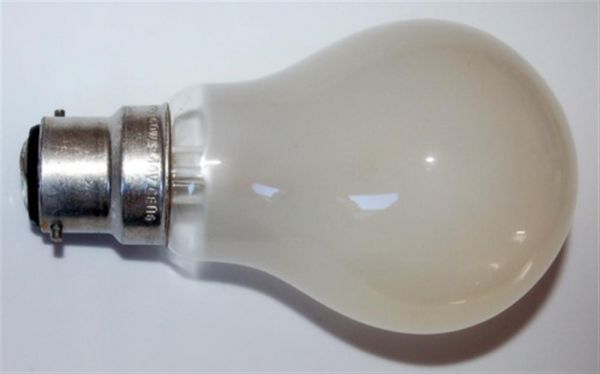 Rough Service Bulbs - 100W BC 240V