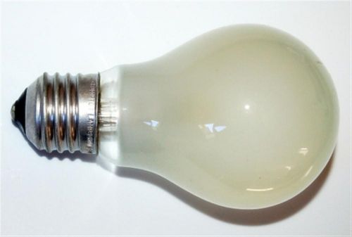 Rough Service Bulbs - 100W ES 240V